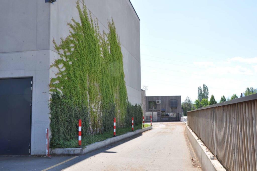 Fassadenbegrünung Biomasseheizkraftwerk Sbg AG